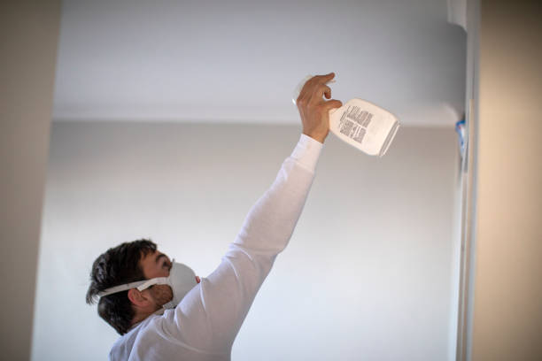 Best Commercial Mold Removal  in Luverne, MN
