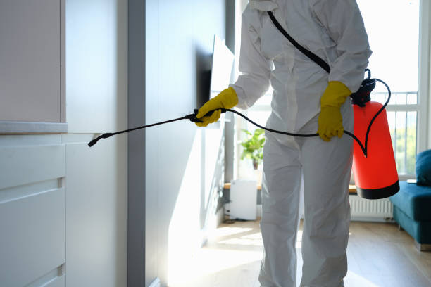 Best Mold Removal Specialists  in Luverne, MN