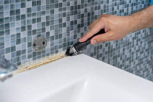Office Mold Removal Services in Luverne, MN