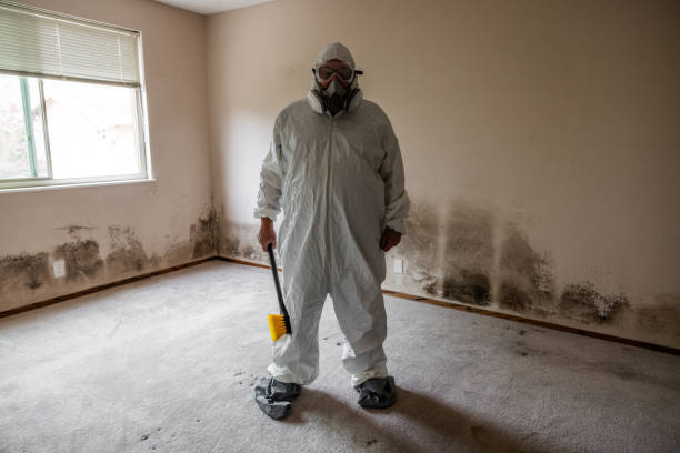 Best Mold Testing  in Luverne, MN